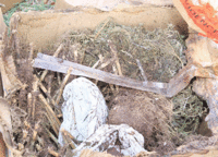 CANNABIS BURNED BY ANGUILLA POLICE