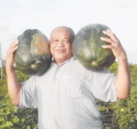 Agricultural Corner: SHARING PRODUCE WITH NEIGHBOURS