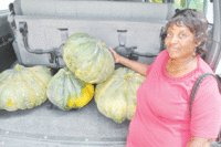 Agricultural Corner: PUMPKIN GROWERS FIND READY MARKET