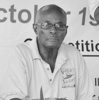 THE IMPORTANCE OF AN EFFECTIVE VECTOR PROGRAMME