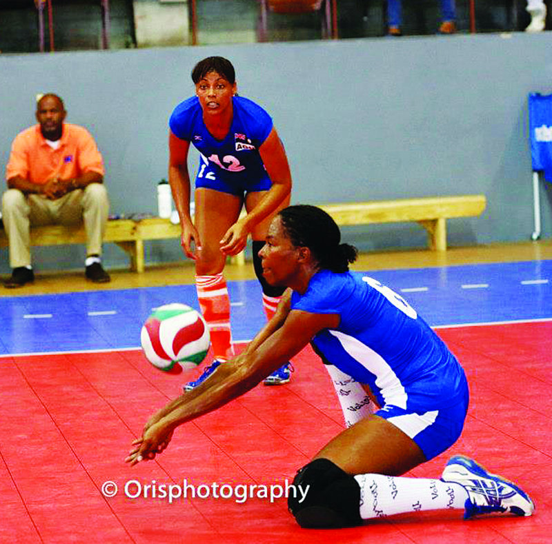 Volleyball ignites the Webster Park