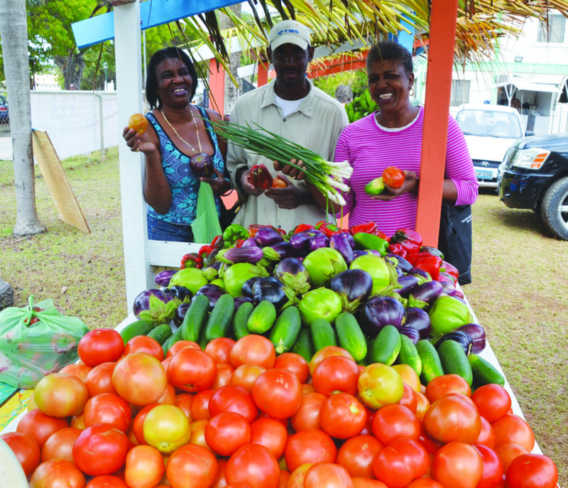 Agricultural Exhibition: “GROW WHAT YOU EAT AND EAT WHAT YOU GROW”