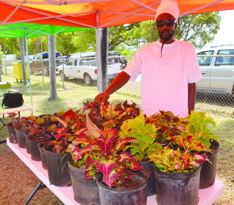 Agricultural Exhibition: “GROW WHAT YOU EAT AND EAT WHAT YOU GROW”