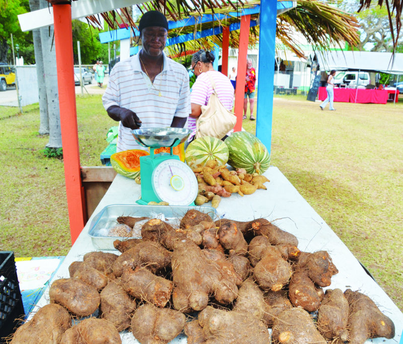 Agricultural Exhibition: “GROW WHAT YOU EAT AND EAT WHAT YOU GROW”