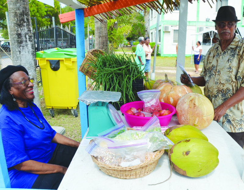 Agricultural Exhibition: “GROW WHAT YOU EAT AND EAT WHAT YOU GROW”