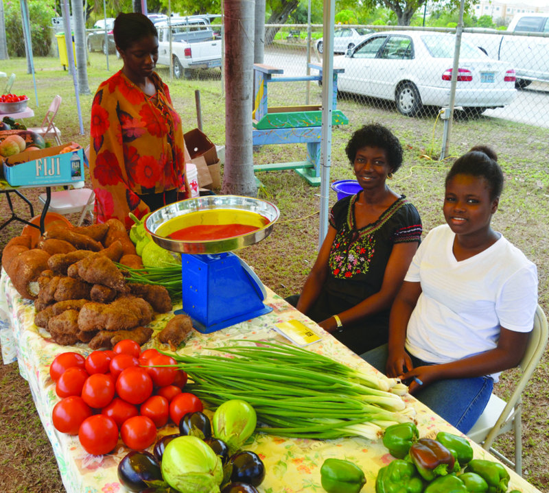 Agricultural Exhibition: “GROW WHAT YOU EAT AND EAT WHAT YOU GROW”
