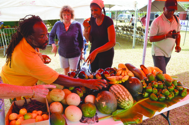 Agricultural Exhibition: “GROW WHAT YOU EAT AND EAT WHAT YOU GROW”
