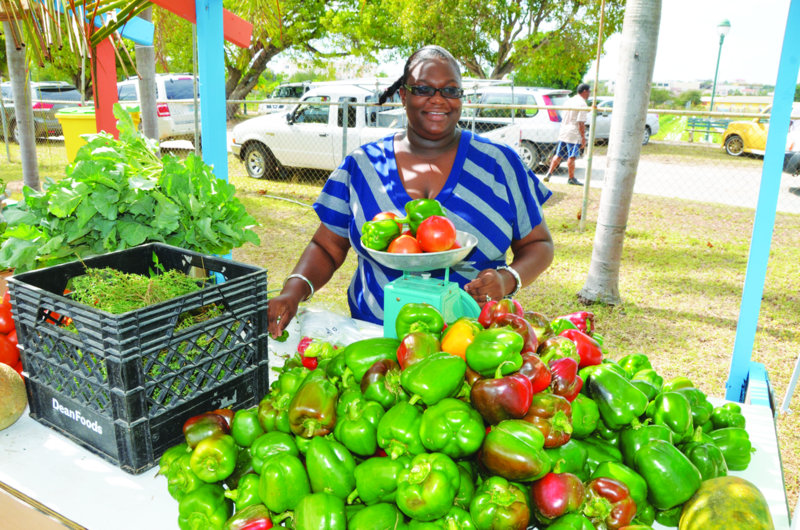 Agricultural Exhibition: “GROW WHAT YOU EAT AND EAT WHAT YOU GROW”
