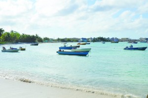 View of Island Harbour Bay, site of Festival del Mar