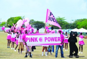 Pink House Cheerleaders