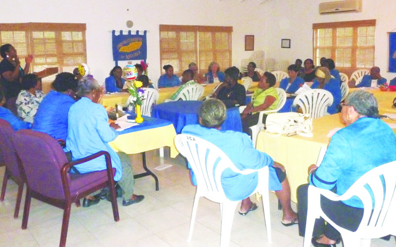 Soroptimist Patron applauds members for work in past year