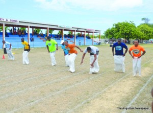 Stages of male and female sac races