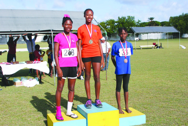 ANGUILLA HOSTS STARTERS WORKSHOP