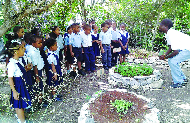 STUDENT/TEACHERS VISIT ORGANIC FARM