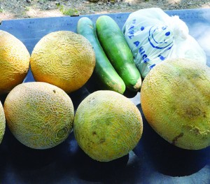 Harvested Fruits and Vegetables