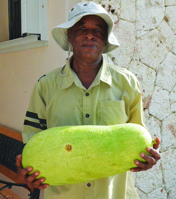 Litchie with Harvest