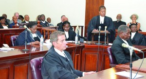 Ms. Yvette Wallace addressing Court (with Mr. James Wood QC and Mr. John Benjamin QC in front row)