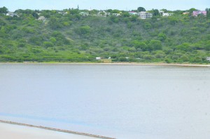 The Road Salt Pond