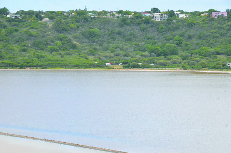 DEVELOPER PRESENTS EIA TO DEVELOP ROAD SALT POND