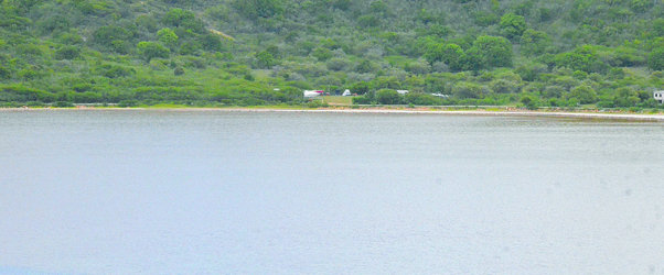 DEVELOPER PRESENTS EIA TO DEVELOP ROAD SALT POND