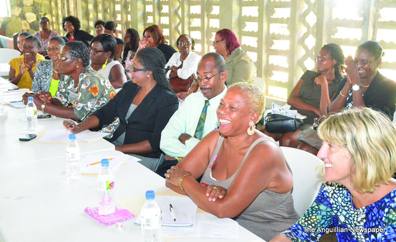 ANGUILLA COMMUNITY ACTION NETWORK PROJECT HOPE 2013 REPORT Sponsored by the Governors office
