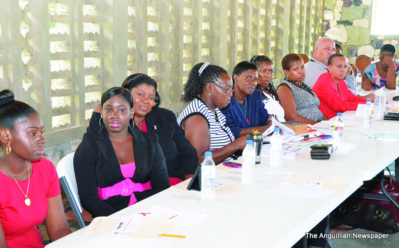 ANGUILLA COMMUNITY ACTION NETWORK PROJECT HOPE 2013 REPORT Sponsored by the Governors office