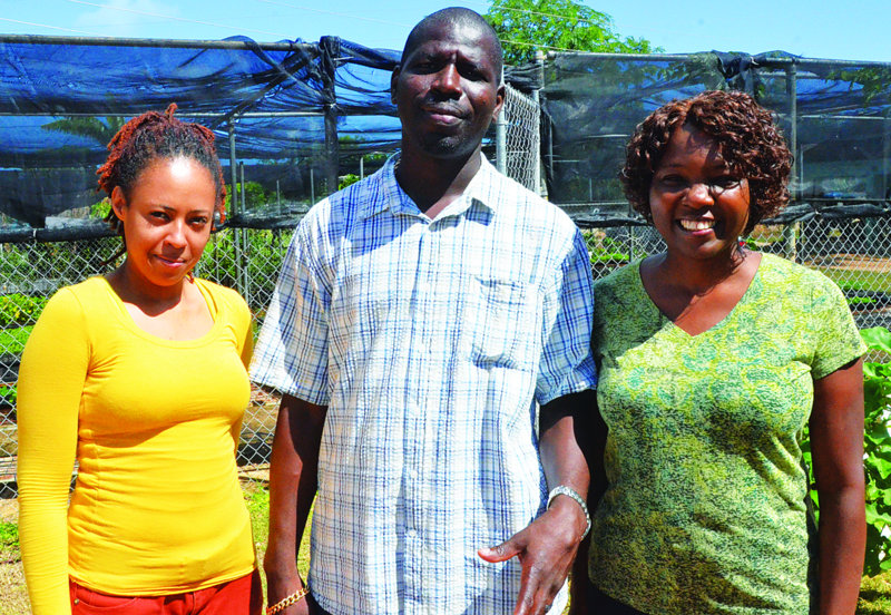 TIMELY ADVICE TO FARMERS IN ANGUILLA