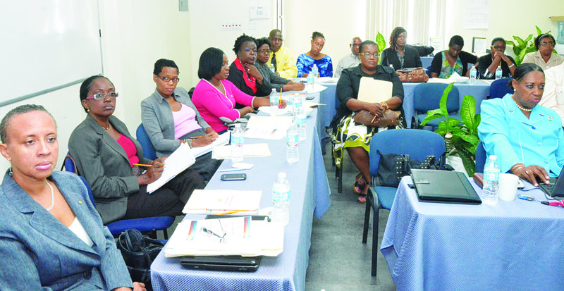 Workshop Attendees with PS Dr. Bonnie Richardson-Lake (far Right in 2nd Photograph)