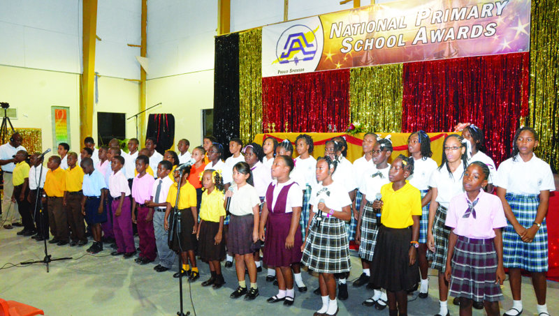 The 46 Awarded Primary School Students