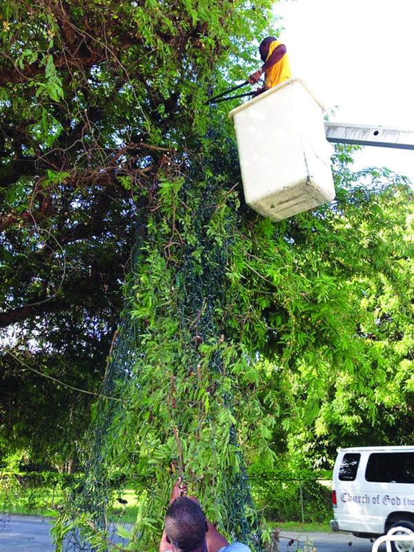 The Lions Community Organization Presents “Reviving the Spirit of Christmas”