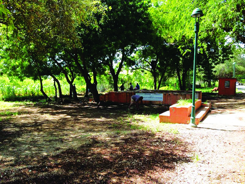 The Lions Community Organization Presents “Reviving the Spirit of Christmas”