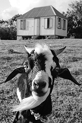 FACEBOOK BRINGS THE OVERSEAS TERRITORIES TOGETHER