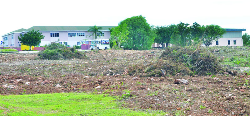 CAMPUS B CLEARED OF BUSH