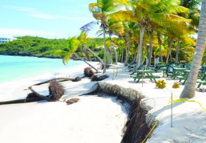 Further erosion along the beach