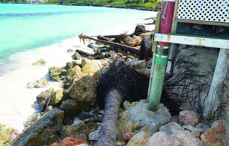 PLEA FOR HELP AGAINST EROSION “If you lose Shoal Bay, you lose tourism.”