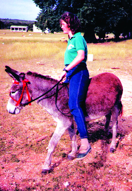 ANGUILLA’S OLDEST DONKEY DIES AT AGE 40
