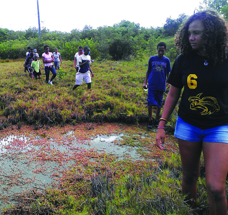 Anguilla National Trust Holds Eighth Annual Adventure Anguilla Environmental Camp