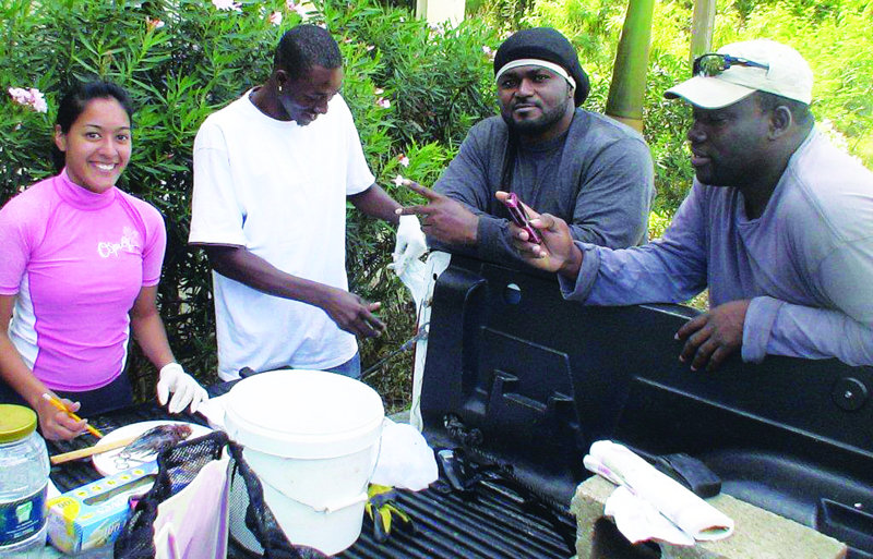 LIONFISH RESEARCHER RETURNS TO ANGUILLA
