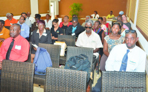 Delegates at the Consultation