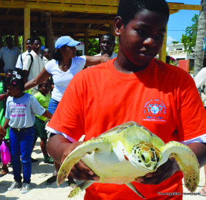 Turtle tagging