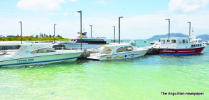 Ferry and Charter Boats at piers