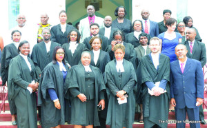 Judicial officials, Lawyers and Government officials