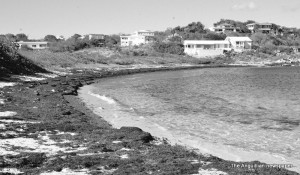 Sandy Hill Beach