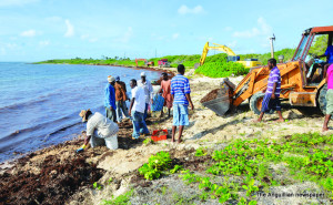 Cleaning up of Seaweed at the Forest Bay