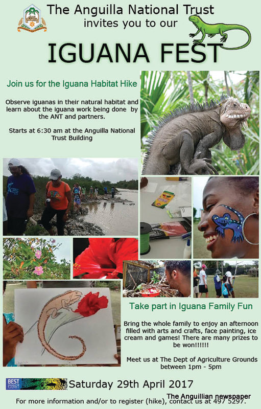 CELEBRATE ANGUILLA IGUANA FEST WITH THE ANGUILLA NATIONAL TRUST The