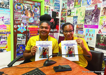 ANGLEC’S 2020 HORIZONS SCHOLARSHIP PROGRAM RESULTS
