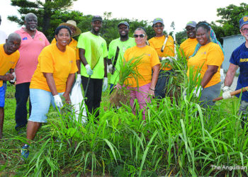 ROTARIANS ENGAGING IN COMMUNITY WORK