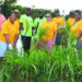 ROTARIANS ENGAGING IN COMMUNITY WORK