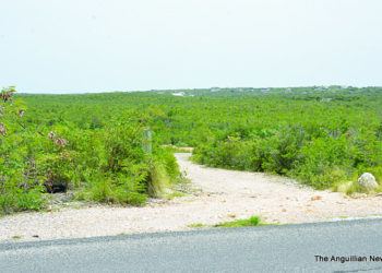 POSSIBILITY OF FUTURE DEVELOPMENT IN WELCHES