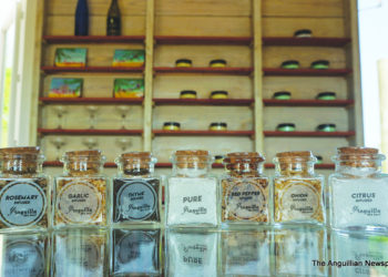 THE INNOVATIVE SEA SALT TALENT OF JOSVEEK HULIGAR